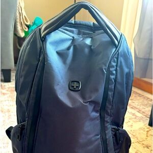Swiss Gear nursing backpack